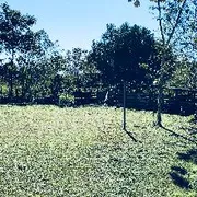 Fazenda / Sítio / Chácara com 3 Quartos à venda, 140m² no Zona Rural, Juquiá - Foto 10