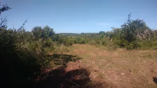 Fazenda / Sítio / Chácara à venda, 74000m² no Zona Rural, Conde - Foto 8