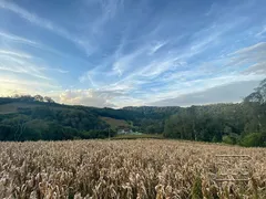 Terreno / Lote / Condomínio à venda, 20000m² no Forqueta, Caxias do Sul - Foto 12