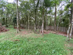 Terreno / Lote / Condomínio à venda, 420m² no , Canela - Foto 4