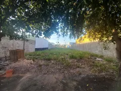 Terreno / Lote / Condomínio para alugar, 300m² no Jardim Residencial Sunflower, Rondonópolis - Foto 1
