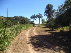 Fazenda / Sítio / Chácara com 3 Quartos à venda no Providencia, Teresópolis - Foto 9