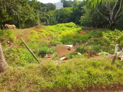 Terreno / Lote / Condomínio à venda, 1460m² no Jardim Flor de Liz, Anápolis - Foto 1