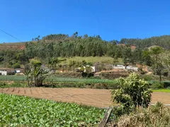 Fazenda / Sítio / Chácara com 5 Quartos à venda, 205m² no Santa Rosa, Teresópolis - Foto 1