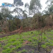 Terreno / Lote / Condomínio à venda, 5000m² no , Pirapora do Bom Jesus - Foto 8