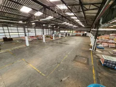 Galpão / Depósito / Armazém à venda, 3700m² no Loteamento Industrial Coral, Mauá - Foto 9