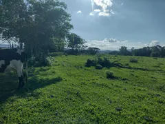 Fazenda / Sítio / Chácara à venda, 121100m² no Zona Rural, Porangaba - Foto 14