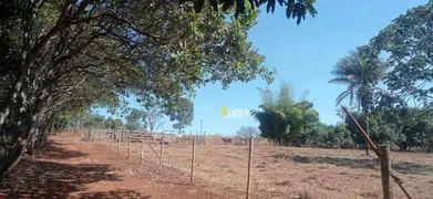 Fazenda / Sítio / Chácara à venda, 4m² no Sibipiruna, Araguari - Foto 20