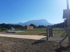 Fazenda / Sítio / Chácara com 3 Quartos à venda, 1759m² no Vila Santo Antonio, Morretes - Foto 9