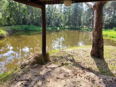 Fazenda / Sítio / Chácara com 4 Quartos à venda, 1900m² no São Roque, São Roque - Foto 23