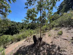 Fazenda / Sítio / Chácara à venda, 17832m² no Centro, Campos do Jordão - Foto 5