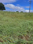 Fazenda / Sítio / Chácara com 3 Quartos à venda, 20000m² no Zona Rural, Monte Alegre - Foto 7