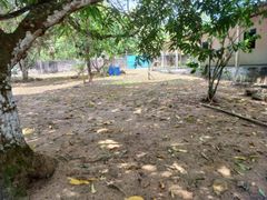 Fazenda / Sítio / Chácara com 3 Quartos para alugar, 1000m² no Tarumã Açu, Manaus - Foto 6