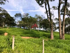 Fazenda / Sítio / Chácara com 4 Quartos à venda, 470000m² no Zona Rural, Florestal - Foto 24