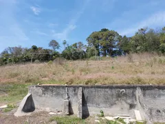 Fazenda / Sítio / Chácara à venda, 12160m² no Parque Mirante de Parnaiba, Santana de Parnaíba - Foto 16