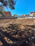 Terreno / Lote Comercial à venda no Nossa Senhora do Rosário, Caxias do Sul - Foto 8