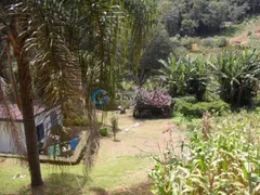 Fazenda / Sítio / Chácara com 2 Quartos à venda, 4000m² no Santa Cruz, Santo Antônio do Pinhal - Foto 4