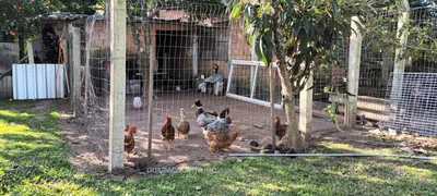 Fazenda / Sítio / Chácara com 3 Quartos à venda, 1380m² no Parque Eldorado, Eldorado do Sul - Foto 20