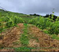 Fazenda / Sítio / Chácara à venda, 330000m² no Centro, Cristina - Foto 32