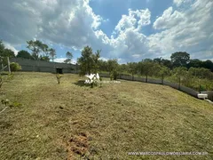 Fazenda / Sítio / Chácara com 3 Quartos à venda, 1500m² no Centro, Mogi das Cruzes - Foto 22