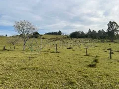 Terreno / Lote / Condomínio à venda, 99446m² no Quatro Colonias, Campo Bom - Foto 6