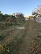 Fazenda / Sítio / Chácara à venda, 5000m² no Panorama, Uberlândia - Foto 4