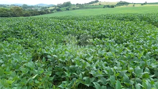 Fazenda / Sítio / Chácara com 1 Quarto à venda, 3466800m² no Centro, Turvolândia - Foto 6