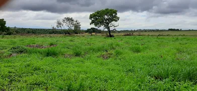 Fazenda / Sítio / Chácara com 4 Quartos à venda, 40000m² no Area Rural do Paranoa, Brasília - Foto 26