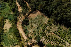 Fazenda / Sítio / Chácara com 4 Quartos à venda, 1016400m² no Providencia, Teresópolis - Foto 10