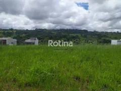 Terreno / Lote / Condomínio à venda, 275m² no Alto Umuarama, Uberlândia - Foto 3