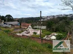 Terreno / Lote / Condomínio à venda, 10m² no Uvaranas, Ponta Grossa - Foto 3