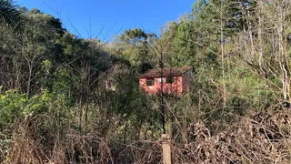 Fazenda / Sítio / Chácara com 1 Quarto à venda, 10890m² no Zona Rural, Mandirituba - Foto 8