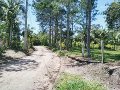 Fazenda / Sítio / Chácara com 2 Quartos à venda, 260m² no Conquista, Balneário Barra do Sul - Foto 21