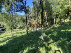 Terreno / Lote / Condomínio à venda, 1000m² no Zona Rural, Campo Alegre - Foto 4