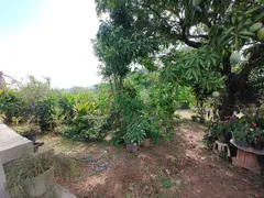 Fazenda / Sítio / Chácara com 3 Quartos à venda, 1050m² no Jardim das Minas, Itupeva - Foto 32