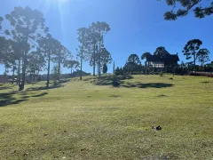 Terreno / Lote / Condomínio com 1 Quarto à venda, 1200m² no Centro, Campo Alegre - Foto 7