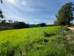 Fazenda / Sítio / Chácara com 3 Quartos à venda, 230m² no Zona Rural, São Sebastião do Oeste - Foto 86