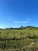 Fazenda / Sítio / Chácara à venda no , Itapecuru Mirim - Foto 4