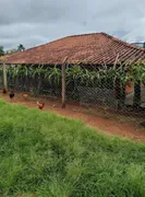 Fazenda / Sítio / Chácara com 2 Quartos à venda, 170000m² no Zona Rural, Monte Alegre de Minas - Foto 16