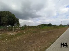 Terreno / Lote / Condomínio à venda, 26000m² no Guarituba, Piraquara - Foto 11