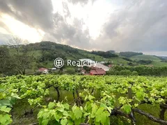 Terreno / Lote / Condomínio à venda, 140000m² no Vale dos Vinhedos, Bento Gonçalves - Foto 2