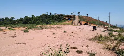 Fazenda / Sítio / Chácara à venda, 16589m² no Santa Rita de Cassia, Barra Mansa - Foto 23