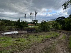Fazenda / Sítio / Chácara com 3 Quartos à venda, 300m² no Centro, Crucilândia - Foto 4