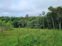 Fazenda / Sítio / Chácara à venda, 100m² no Rancho Alegre, Campina Grande do Sul - Foto 22