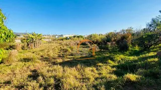 Terreno / Lote / Condomínio à venda, 8700m² no Ressaca, Atibaia - Foto 5