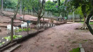 Fazenda / Sítio / Chácara com 3 Quartos à venda, 400m² no Dois Córregos, Valinhos - Foto 26