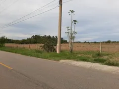 Terreno / Lote Comercial para venda ou aluguel, 70000m² no Cajueiro, São João da Barra - Foto 5