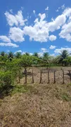 Fazenda / Sítio / Chácara com 2 Quartos à venda, 200m² no Pinheiro, Guaiúba - Foto 39