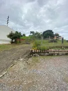 Fazenda / Sítio / Chácara com 2 Quartos à venda, 70m² no Tapajos, Indaial - Foto 7