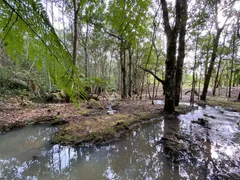 Fazenda / Sítio / Chácara com 1 Quarto à venda, 100m² no Ratones, Florianópolis - Foto 15